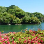 丹沢湖